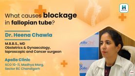 Blocked Fallopian Tube By Dr. Heena Chawla