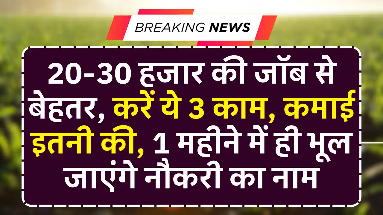 Online community manager